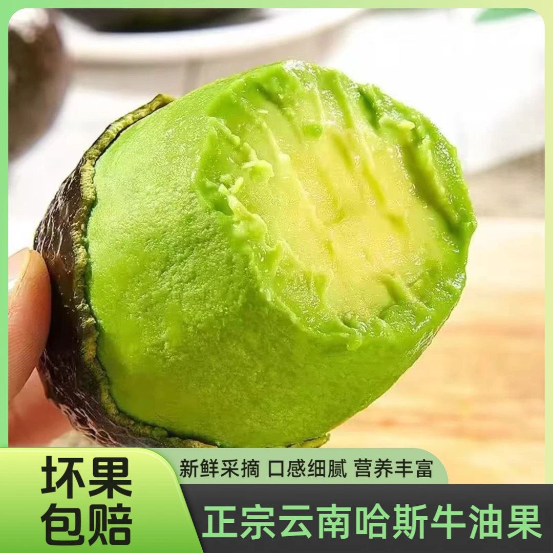 【坏果包赔】到手16个正宗云南哈斯牛油果鳄梨宝宝辅食产地直发