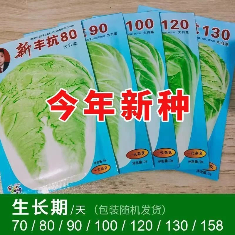 【满5包包邮】丰抗大白菜种子早熟70/80/90/100/天耐寒高产白菜种子