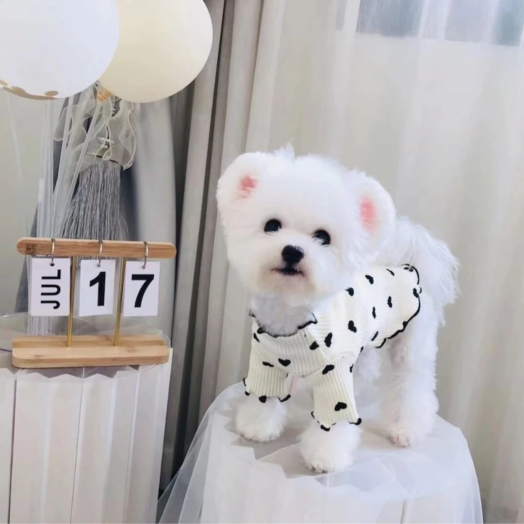 爱心打底衫狗衣服春秋装泰迪比熊博美小型犬小狗狗宠物秋冬季内搭