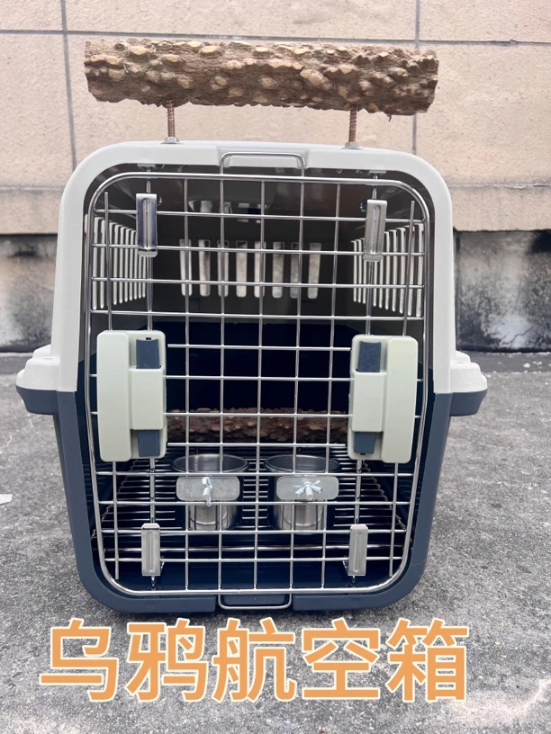 鸦科户外精品定制航空箱乌鸦秃鼻乌鸦白颈乌鸦红嘴山鸦航空箱