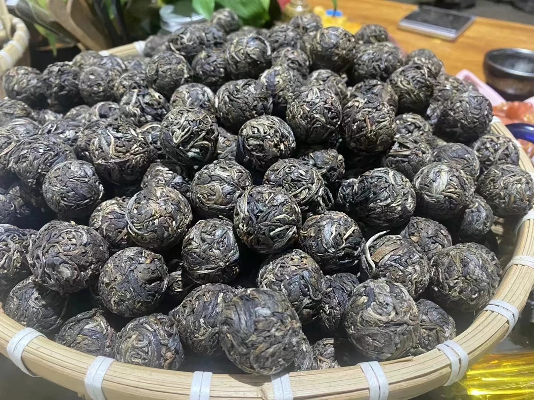 2025年忙肺古树挑采头春