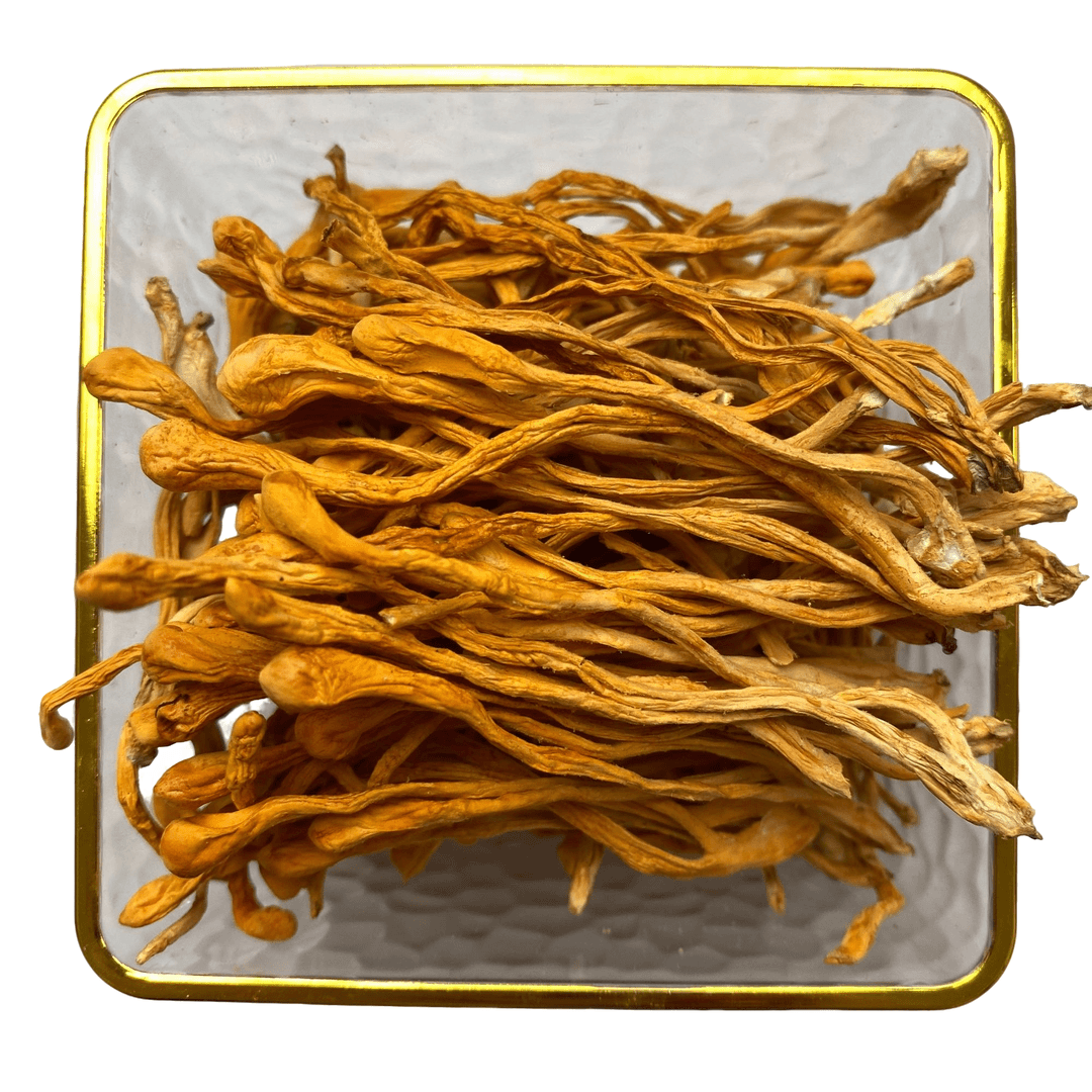 精选云南虫草花干货