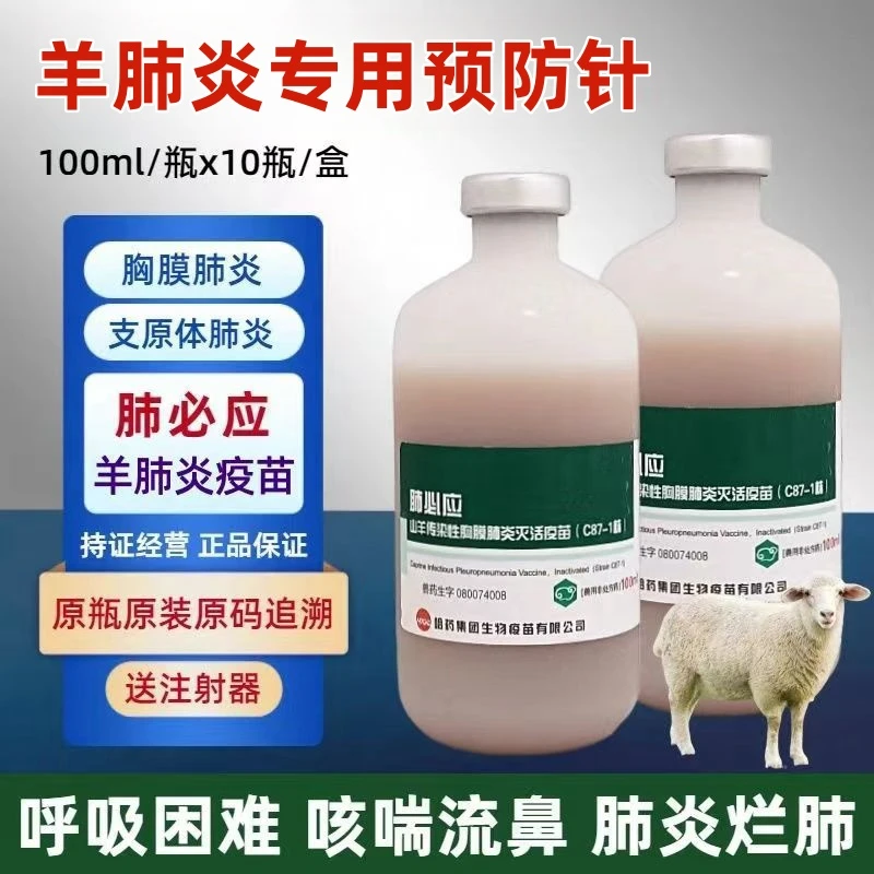 羊传染性胸膜肺炎疫苗兽用肺必应预防配方羊传胸疫苗支原体肺炎