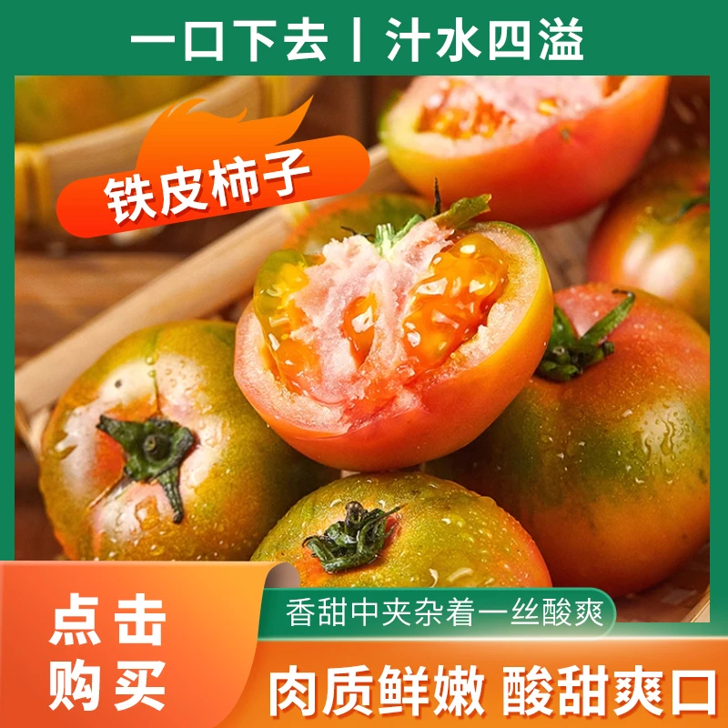 正宗丹东铁皮柿子碱地柿子铁皮西红柿农家现摘新鲜自然熟东北柿子