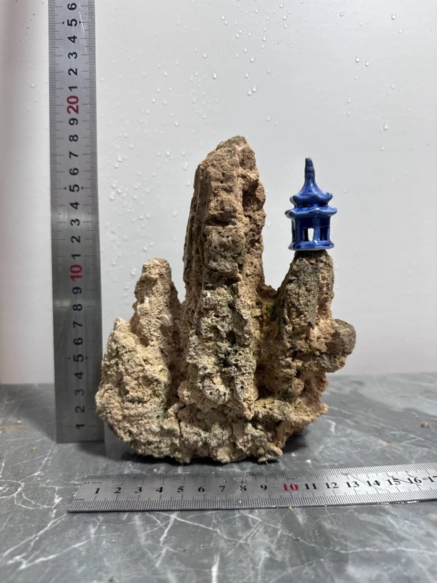 正品真品吸水石上水石实物实拍送草种子