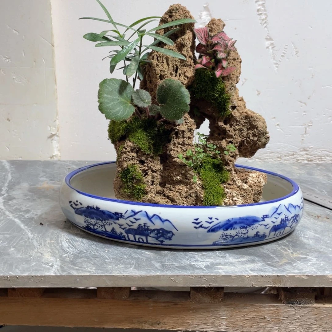 旋*上水石盆景一物一拍