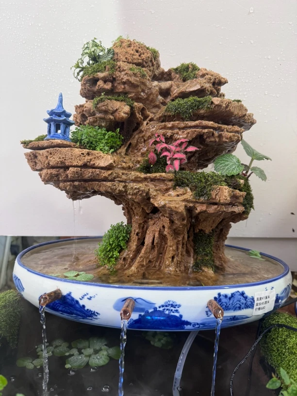 正品真品吸水石上水石假山盆景一物一拍