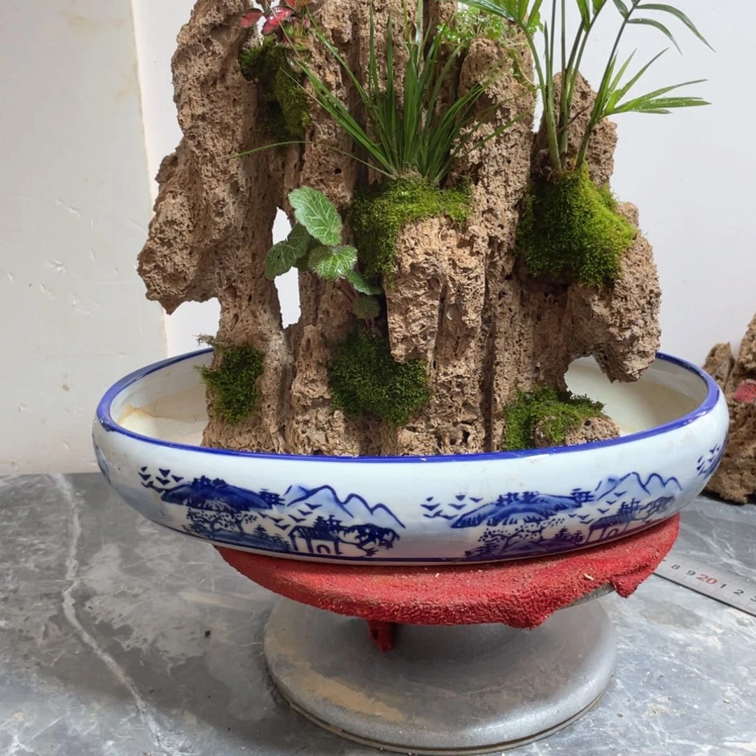 文*抢水石盆景一物一拍