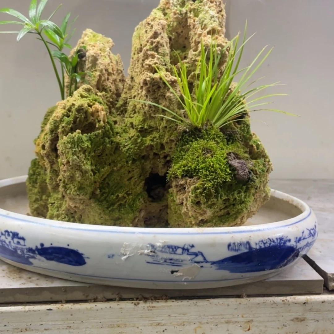 【闪购商品】红陶171cm(含)-200cm(含)满**M