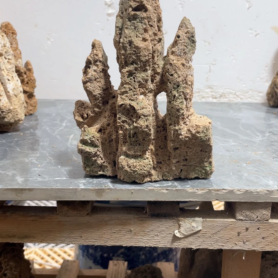 Ö上水石盆景一物一拍