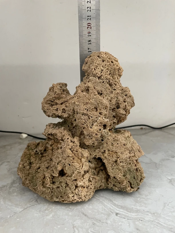 吸水石上水石实物实拍包邮送草籽