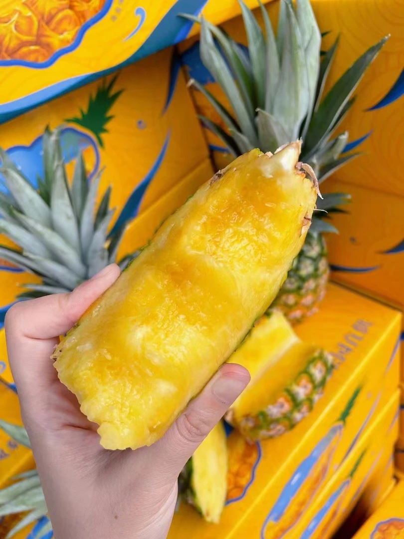 （小林甄选）·海南金钻凤梨纯甜无酸不泡盐水2.8-3.4斤