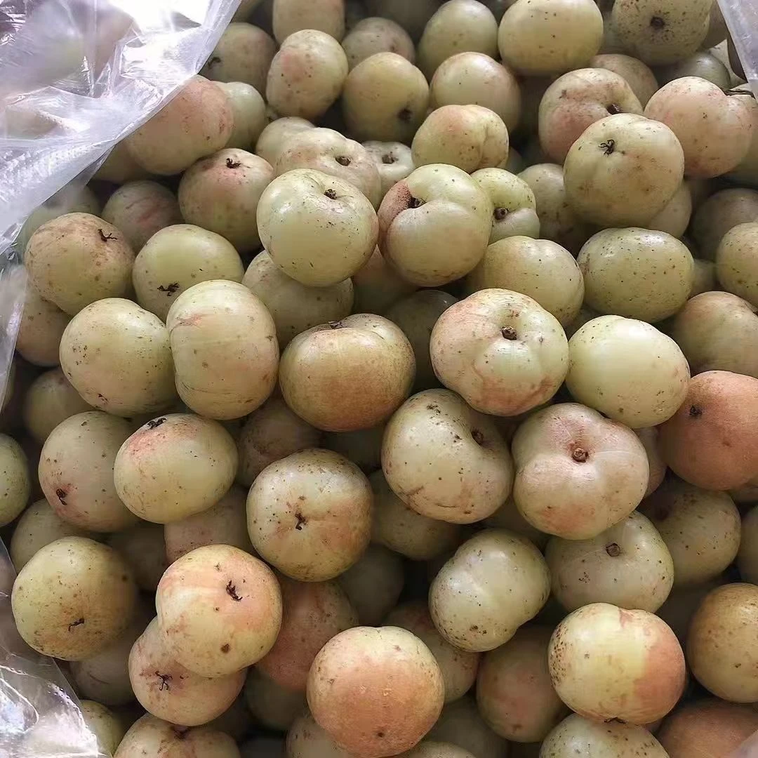 新鲜原味油甘果甜种柿饼油甘 潮汕油甘橄榄