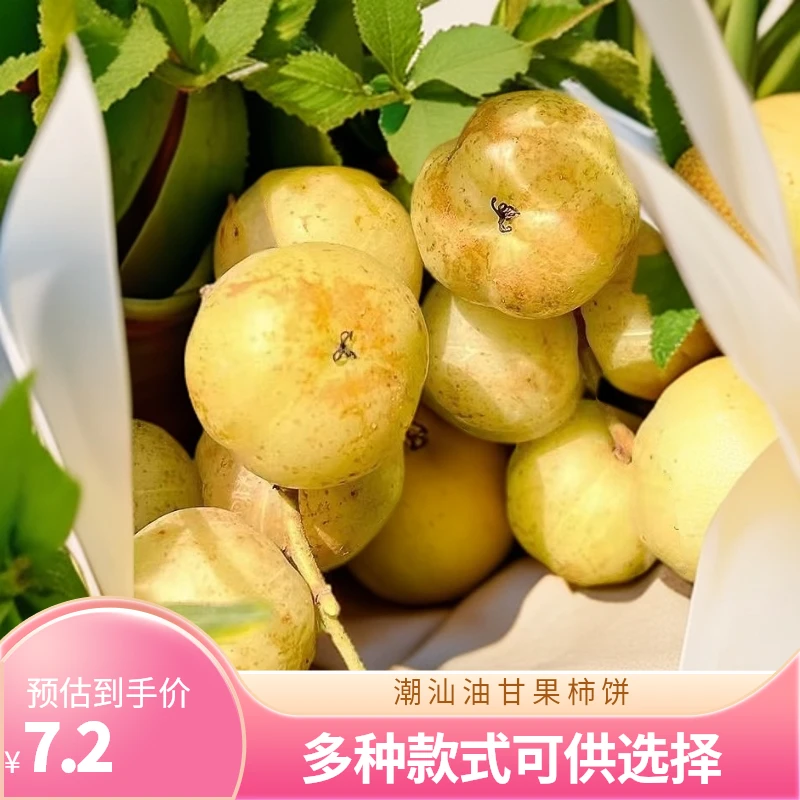 潮汕油甘果柿饼油甘甜油甘甜种油甘崩坎油甘余甘子油柑滇橄榄