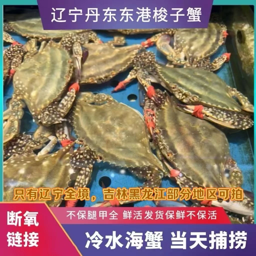 【保鲜不保活】断氧梭子蟹 三两左右/只 3斤装 不保腿甲全