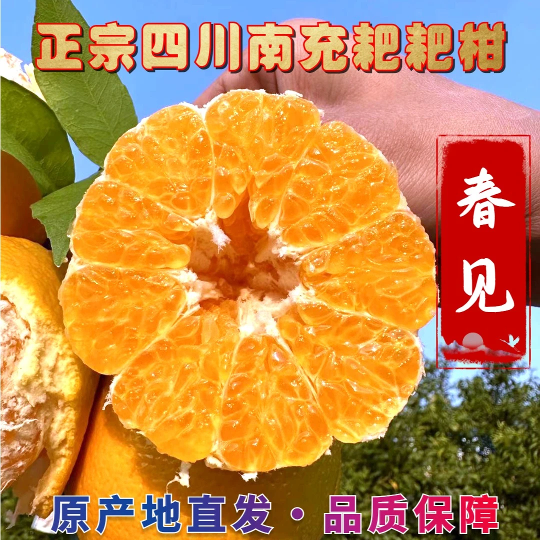 正宗四川南充【耙耙柑】香甜多汁皮薄肉嫩爽口无渣果大好吃礼盒款