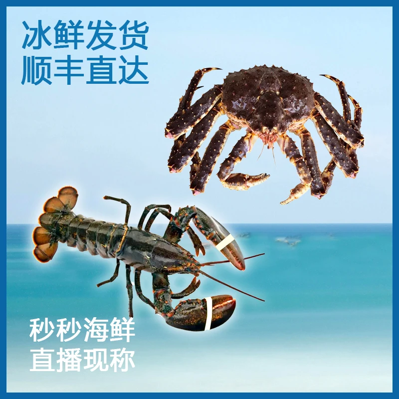 包邮 直播现称 松叶蟹帝王蟹海鲜水产 冰鲜发货 新鲜到家