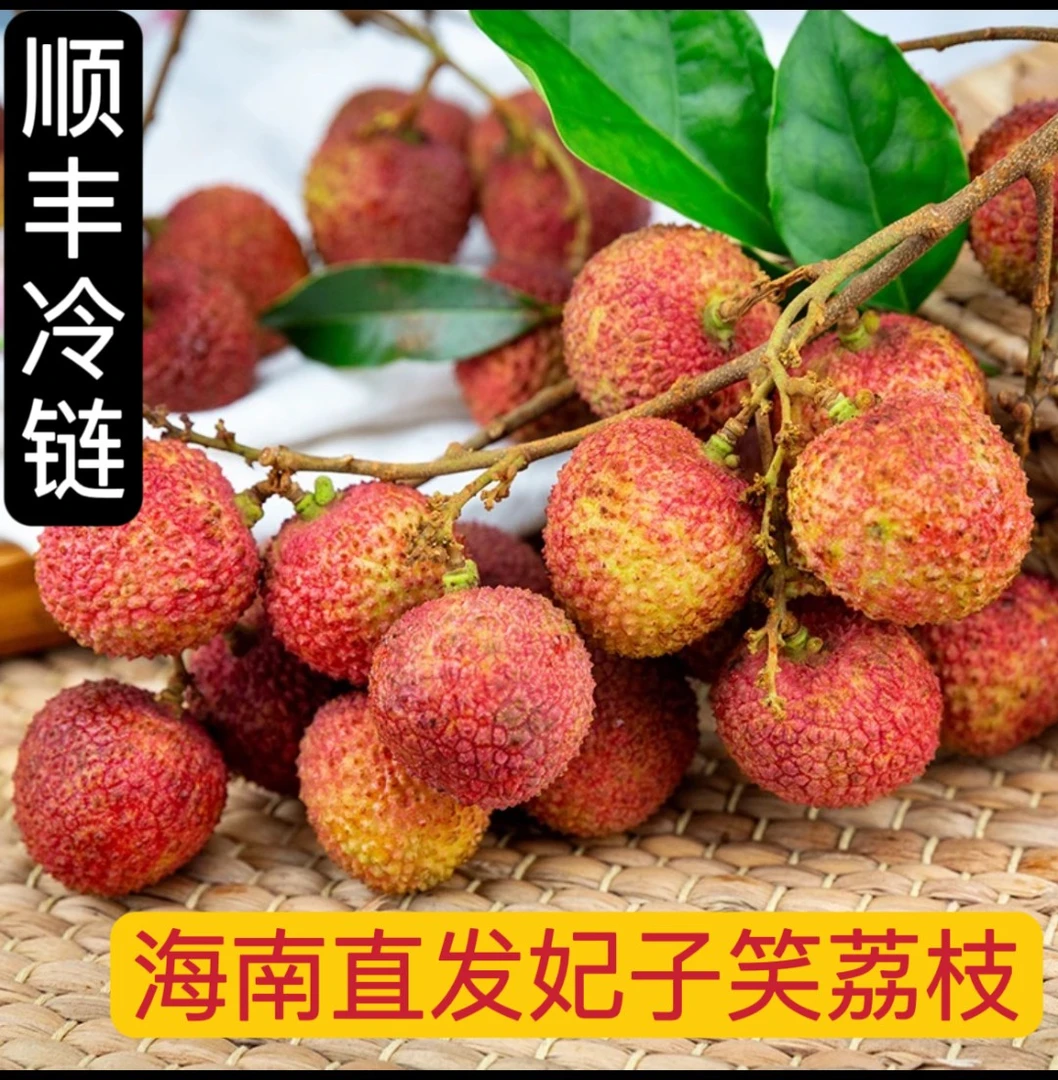 【顺丰冷链】正宗海南妃子笑荔枝头茬荔枝产地直发新鲜水果（多仓发）