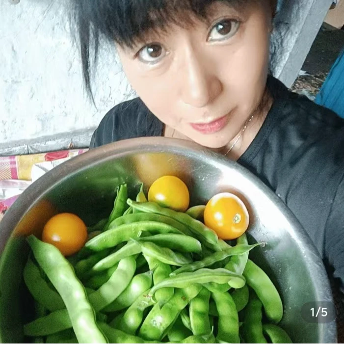 东北小园油豆角（纯东北油豆角）