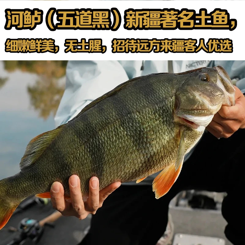新疆五道黑乌伦古湖野生鲜美冷水鱼新疆味道海鲜新疆水产鲜活加工