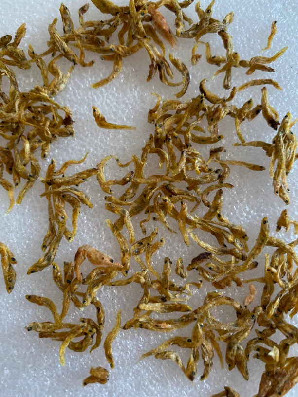 醴陵官庄水库长约1厘米毛毛鱼嫩仔鱼嫩子1斤