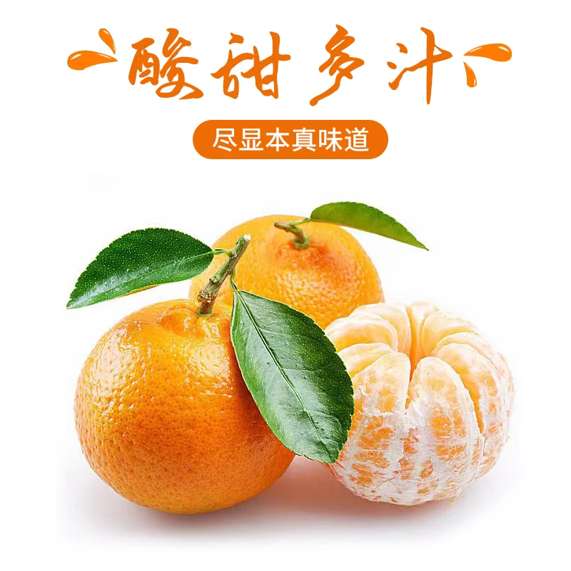 南漳县甄选高山桔子新鲜蜜桔皮薄多汁爽口酸甜无农药桔子5斤包邮