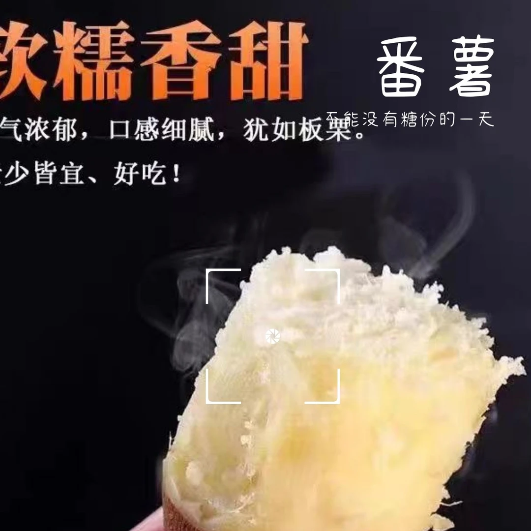 甜蜜猎人重庆白玉蜜薯红皮白心天然红薯无污染熬粥香甜特大红薯