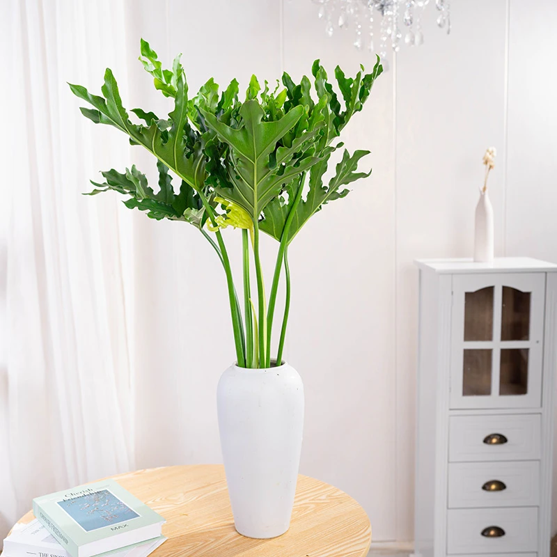 水培植物春羽盆栽蔓绿绒室内春雨绿植常青好养办公桌面【不带花盆】