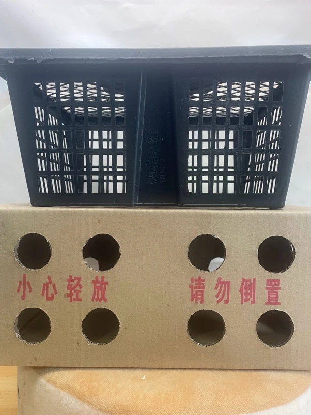 宠物运输笼专用顺丰包邮携带外出便捷