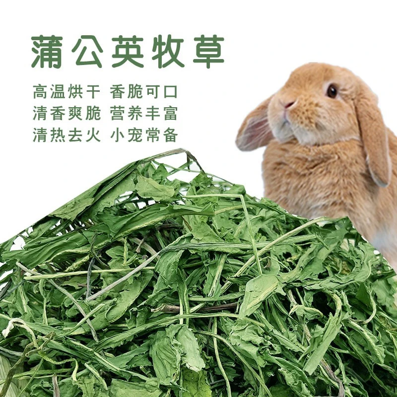 蒲公英干草兔子荷兰猪豚鼠龙猫食物烘干牧草清热降火抗菌消炎500g