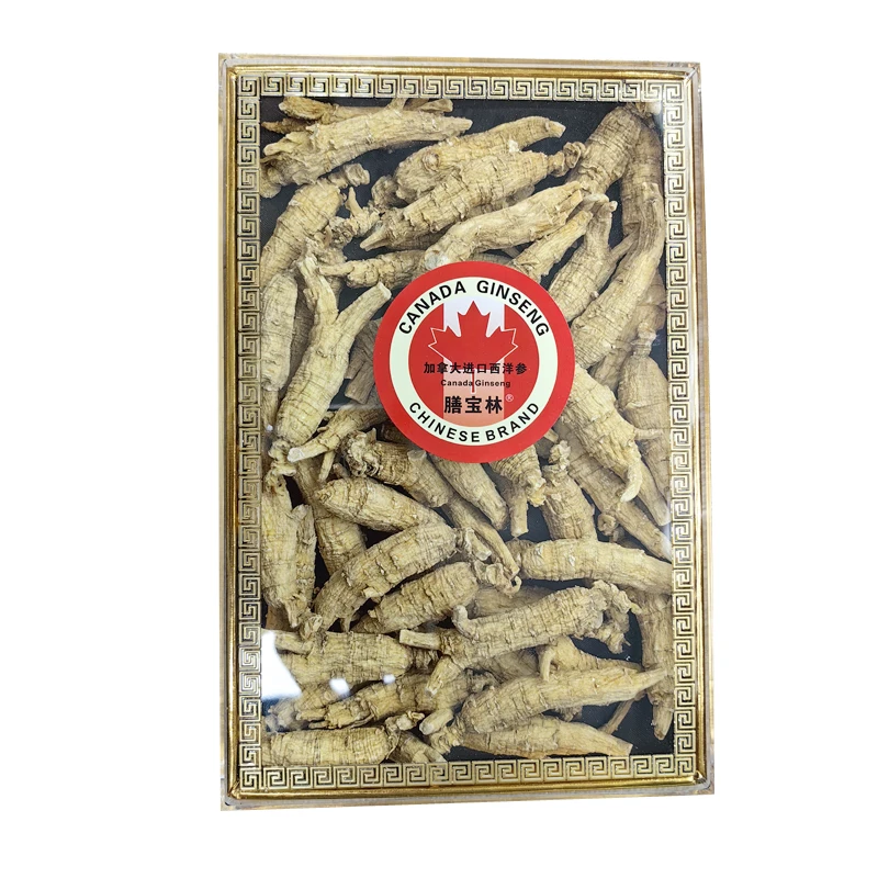 5克原丛枝条250g加拿大花旗参正品整支西洋参100g