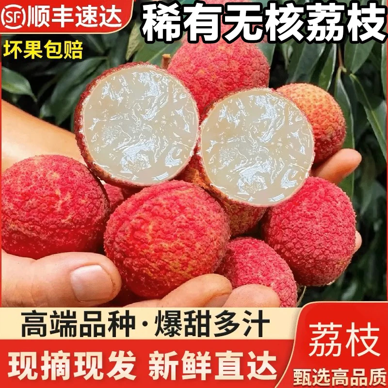 【星河甄选】顺丰冷链速达纯甜无核荔枝季节限定高端礼盒装