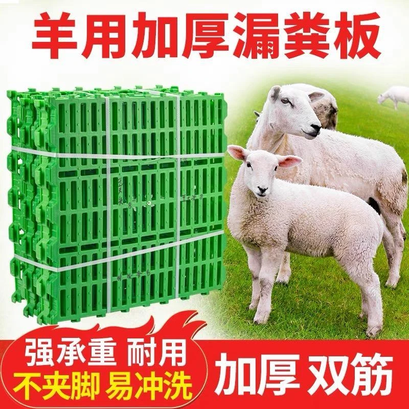 羊床漏粪板羊舍加厚塑料接粪板羊圈养羊专用产床漏粪板养殖场设备