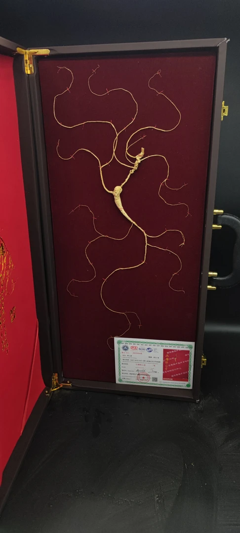 长白山25年以上人参60cm礼盒参，国检二等货皮盒直播选参