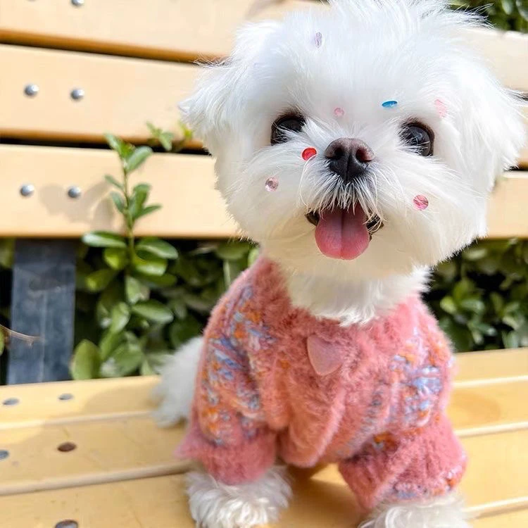 宠物新款针织毛衣段彩貂绒加厚防寒保暖狗狗泰迪博美比熊猫咪衣服