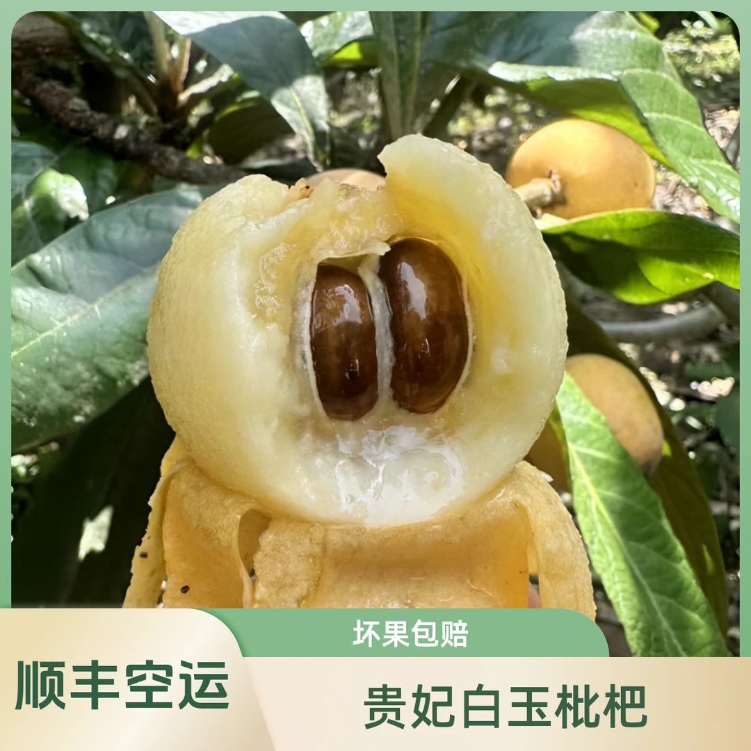 顺丰空运贵妃白玉枇杷白沙白梨5斤万州重庆非塘西苏州东山琵琶果
