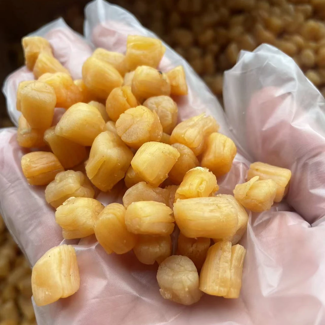 湛江草潭本地中号400头瑶柱淡口不咸煲粥煲汤非常鲜甜