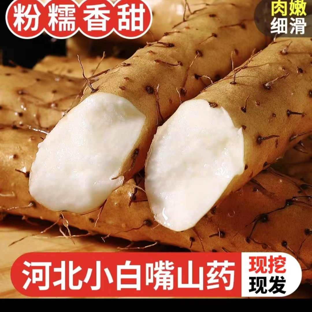 河北蠡县小白嘴山药新鲜先挖5斤带土发货