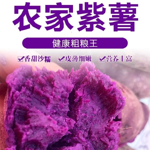湖北农家新鲜紫薯紫罗兰紫心地瓜番薯粉糯香甜皮薄如纸自发5-9斤