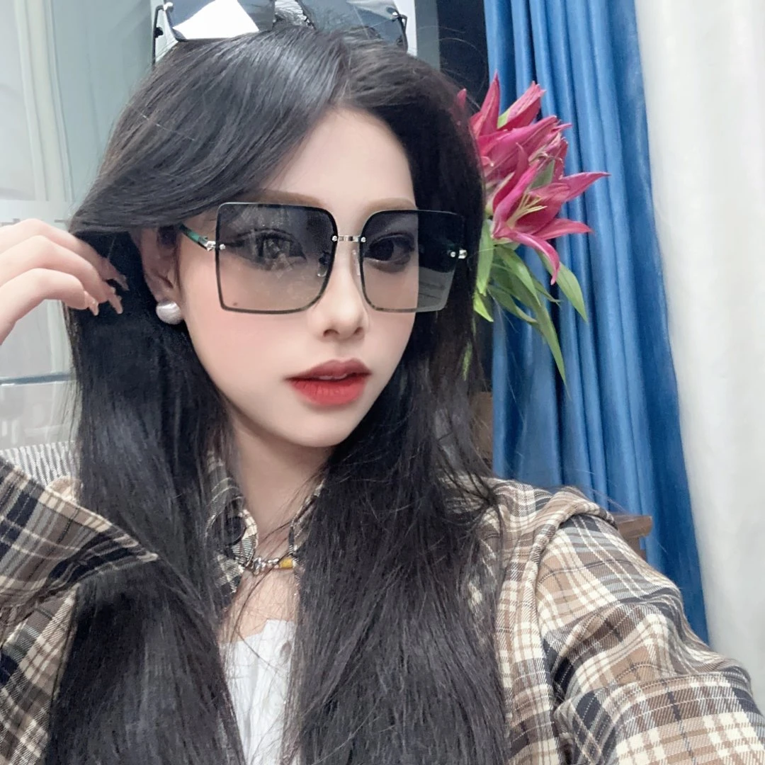 ANALIOG FRONT END【93】偏光轻奢墨镜太阳镜防紫外线女士开车旅游