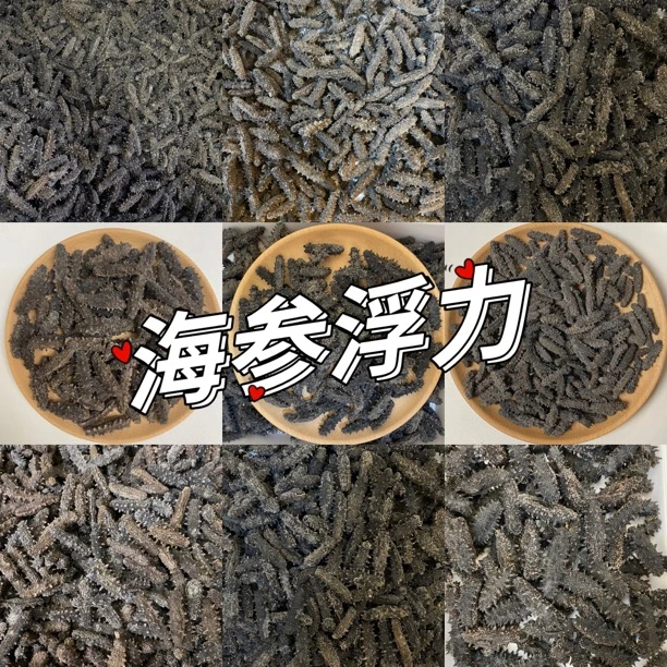 【50头】（俄）参  瑕疵