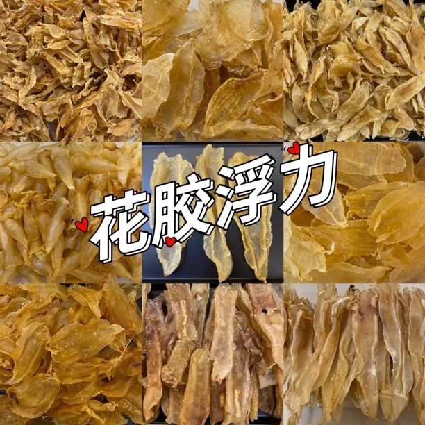 【花胶浮力】75头安南胶
