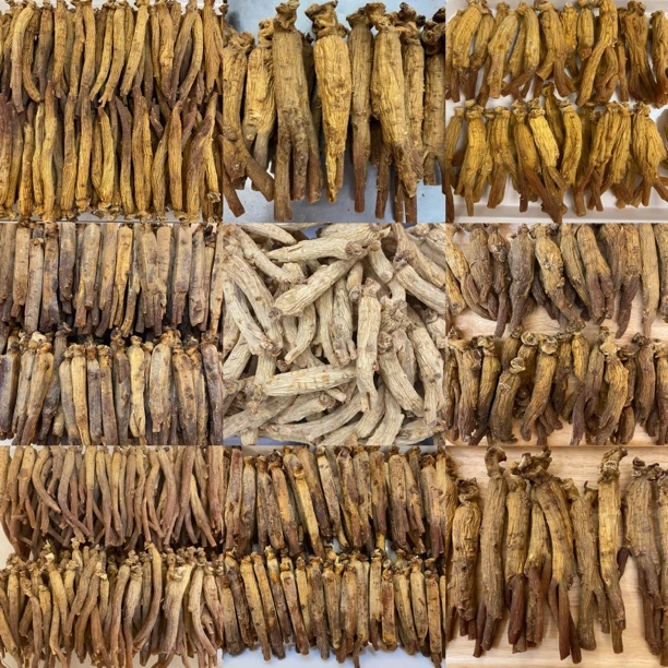 【开成】 600g15支 参条 人参（15Y）