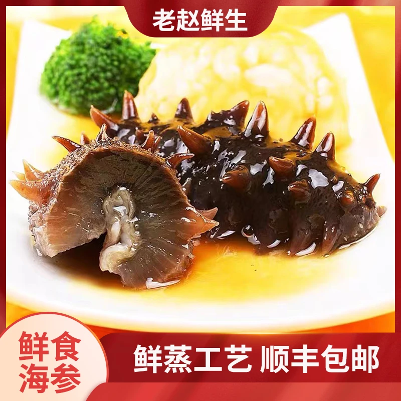 【精选大头】8-10头/斤鲜蒸即食海参刺参