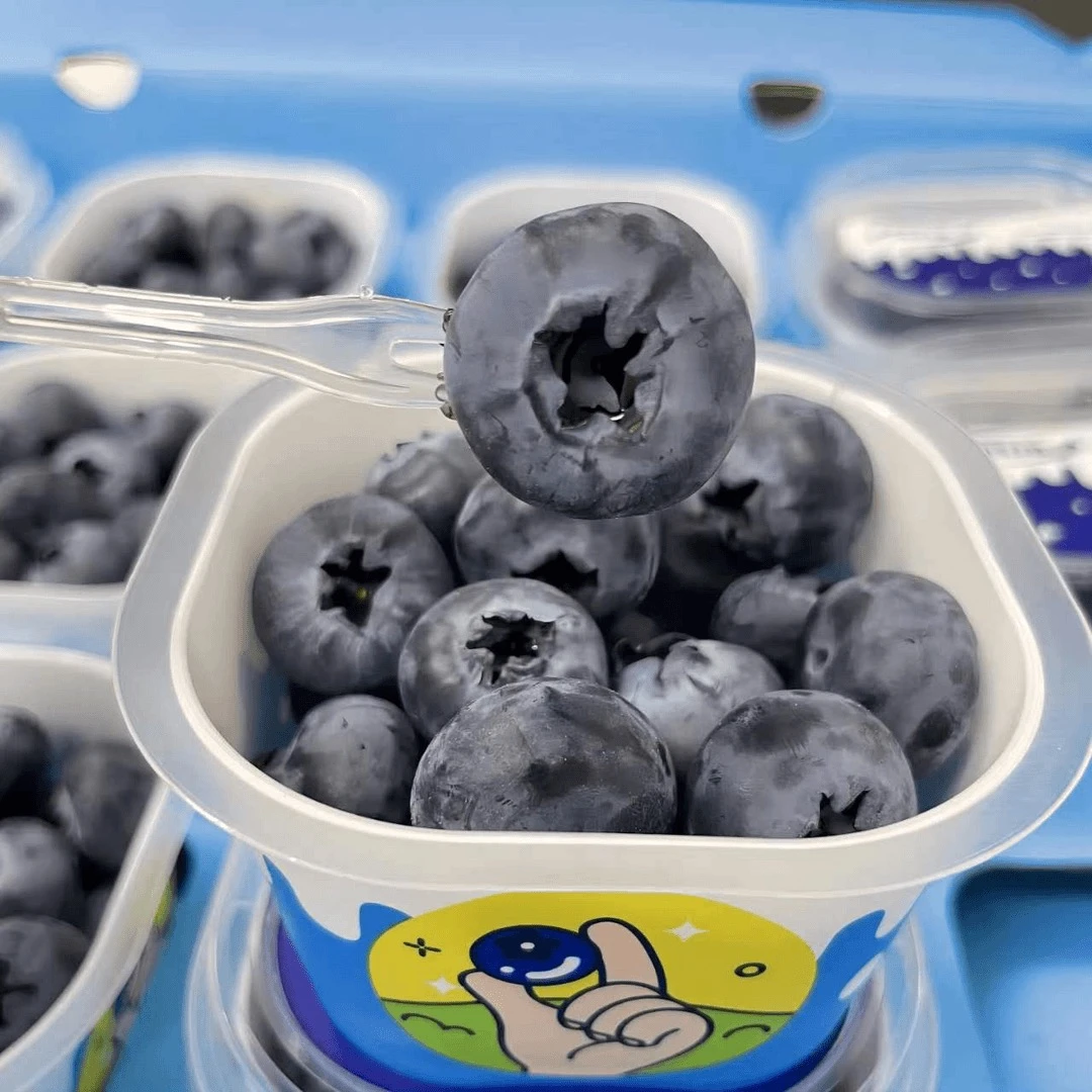 Q当季限量 宝宝杯蓝莓BIueberry大果18+mm 花香浓【京东包邮】
