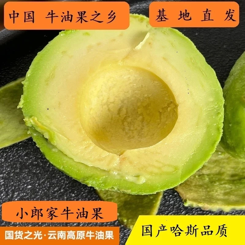 小郎家中国国产哈斯牛油果之乡牛油果中大果130-160g/个