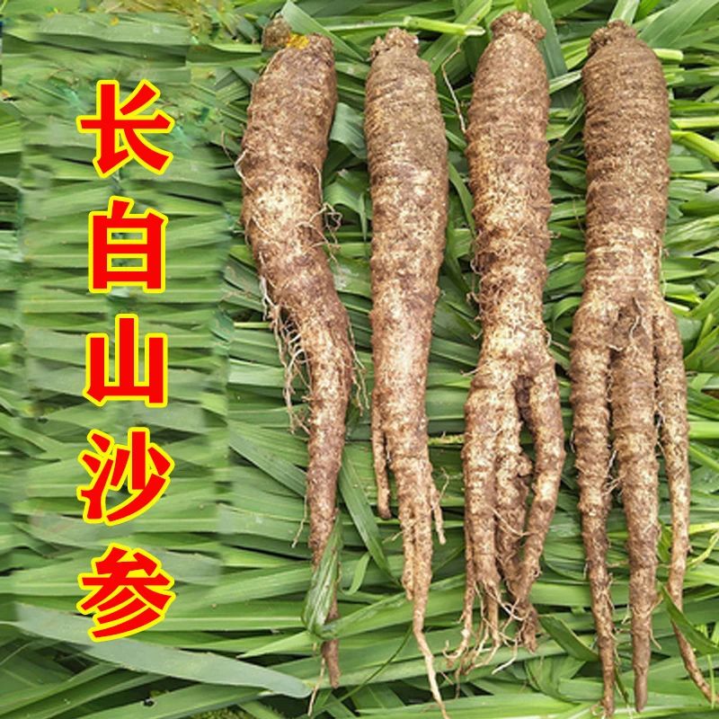 新鲜沙参带土发货东北山胡萝卜大个轮叶党参山地瓜去皮韩国泡菜