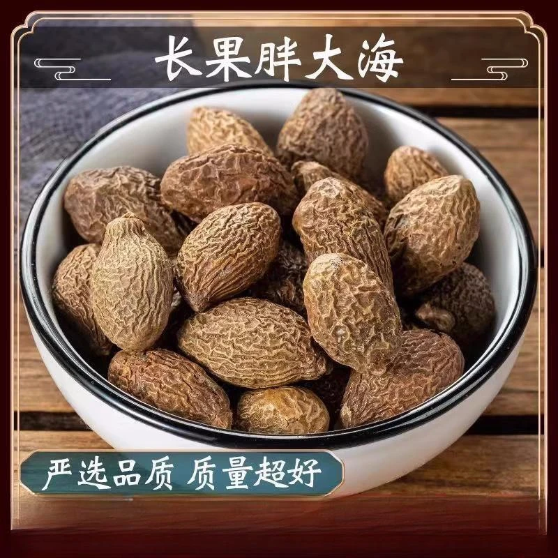 胖大海新鲜泡茶大果特级正品胖大海