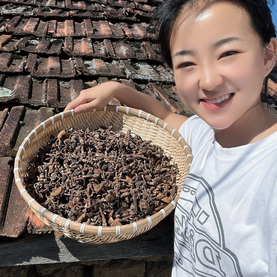 东北野生榛蘑丁 特产野生蘑菇 榛蘑丁