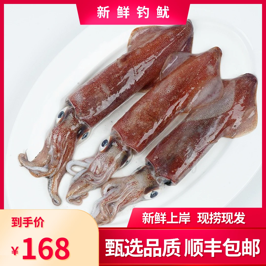 【赖小渔】新鲜海钓鱿鱼鲜活速冻（4~6个）400g一盒*2 顺丰包邮